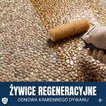 Żywica do Regeneracji Kamiennego Dywanu.
