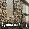 Żywice "ŚCIANA Z KAMIENIA"